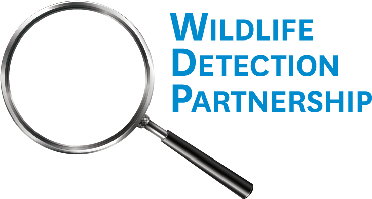 Wildlife Detection